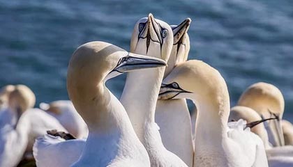 INE·区块链资讯 | 4月8号 星期一