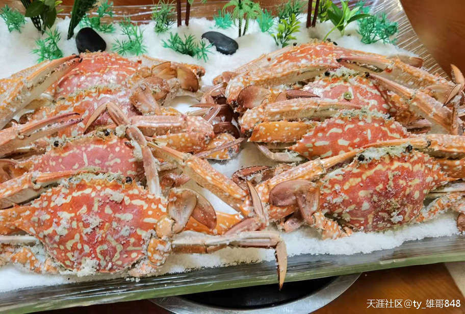 北海餐饮界大师黄志雄制作的疍家美食菜品在央视亮相受到欢迎