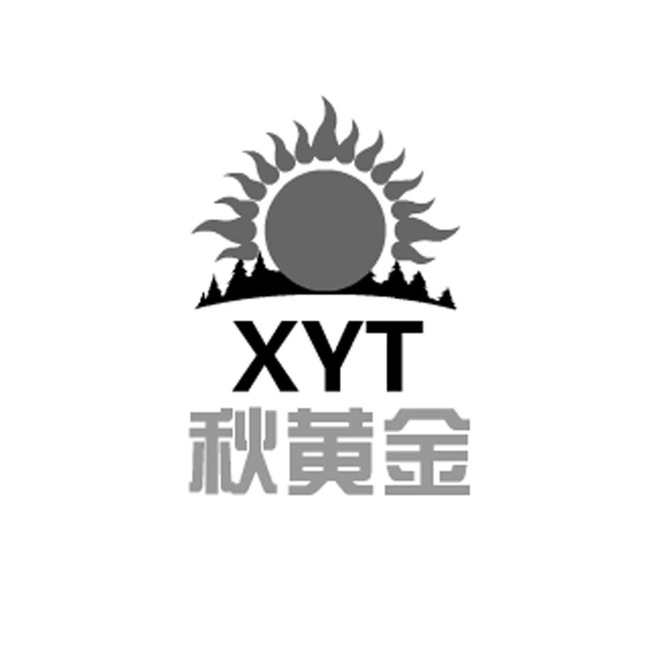 XYT(xyt网络用语)