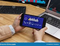 Bitlish(BitSpirit安卓版)