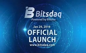 Bitsdaq(Bitstrips)
