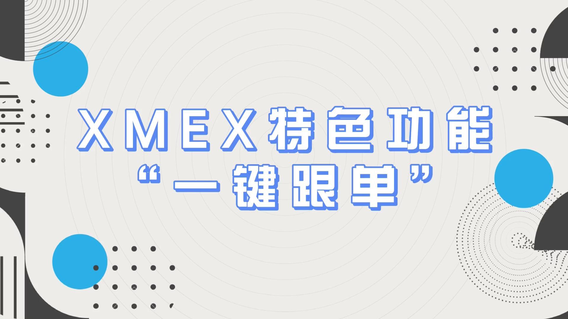 XMEX(向美而行作文)