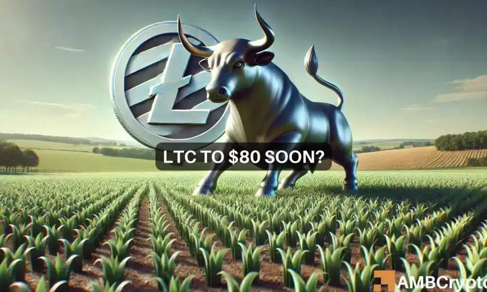LTC-莱特币(莱特币litecoin)
