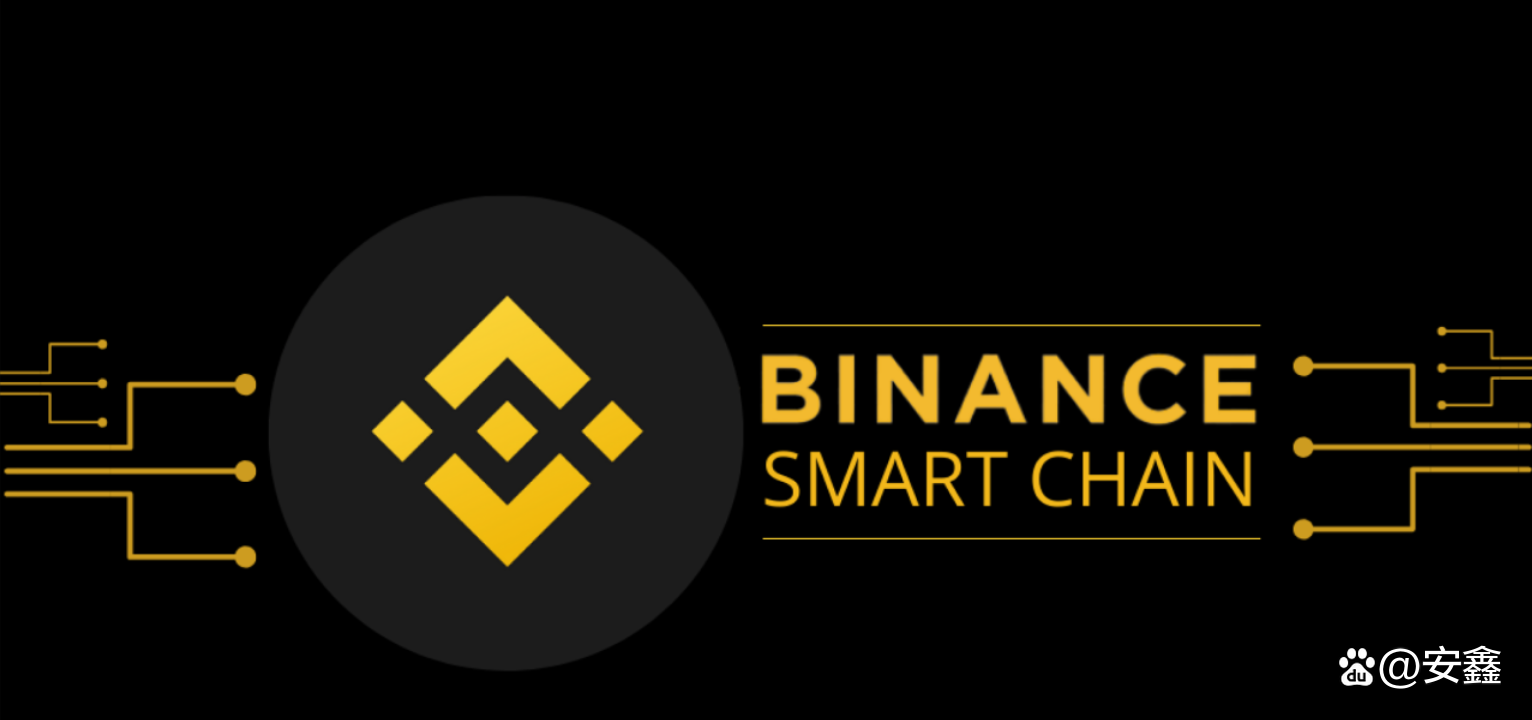 BNB-币安币(bnb是什么币是骗局吗)