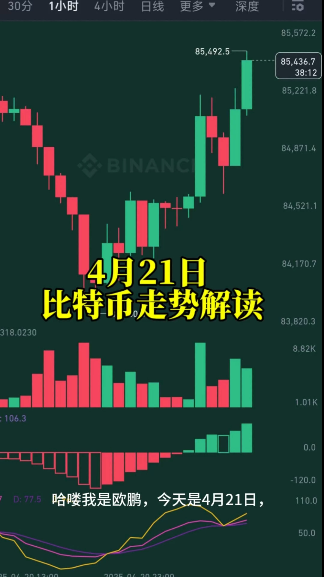 比特币行情(比特币行情走势)