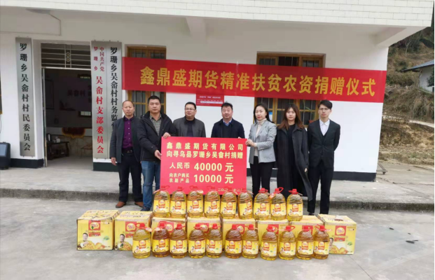 鑫鼎盛(鑫鼎盛网络科技有限公司)