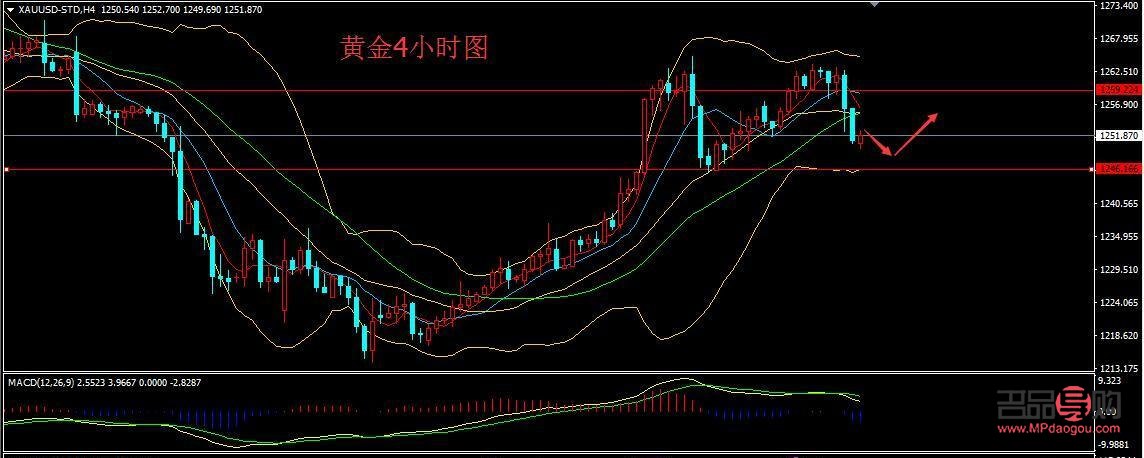 黄金期货(黄金期货怎么买卖的操作流程)