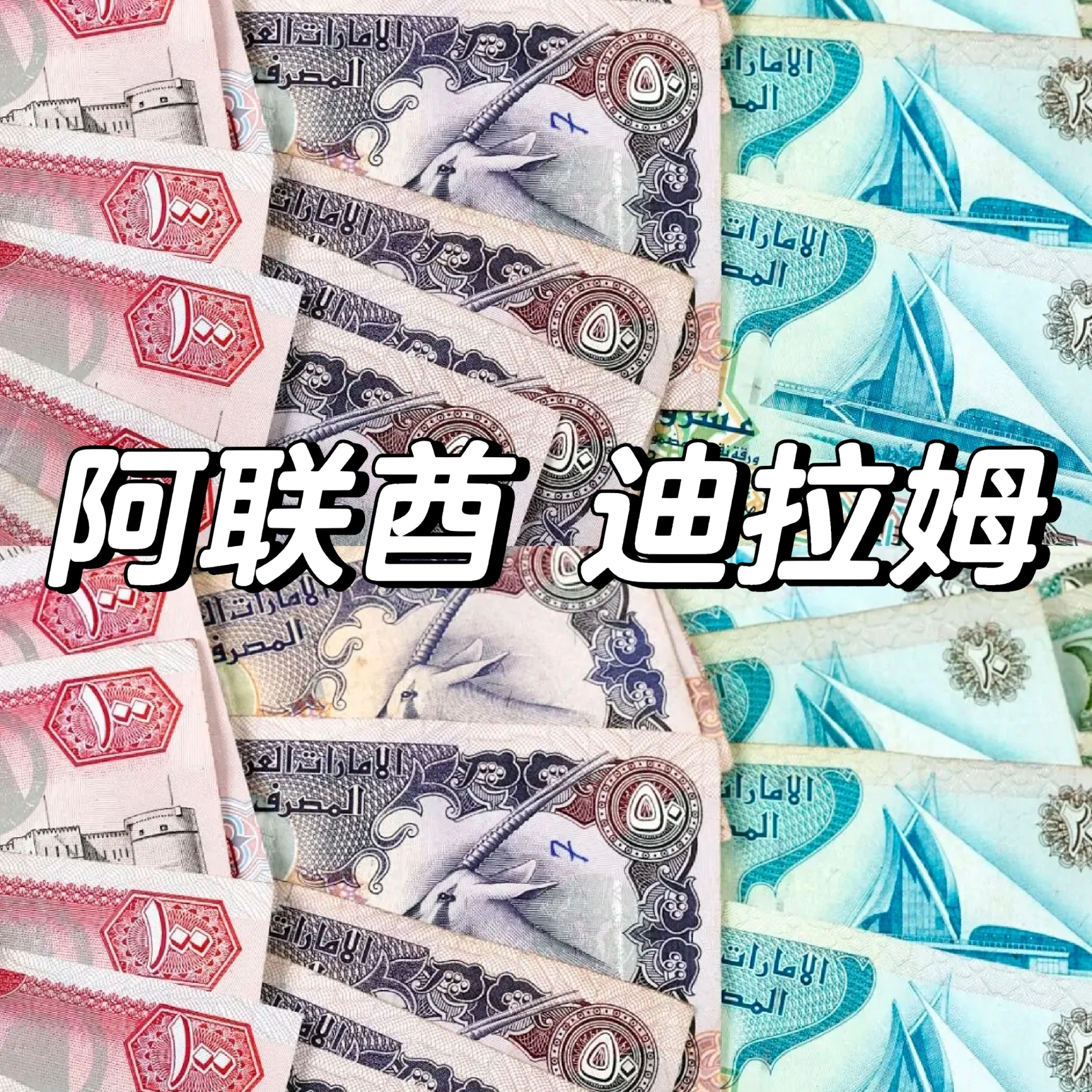 艾达币(艾达币英文缩写) 艾达币(艾达币英文缩写)