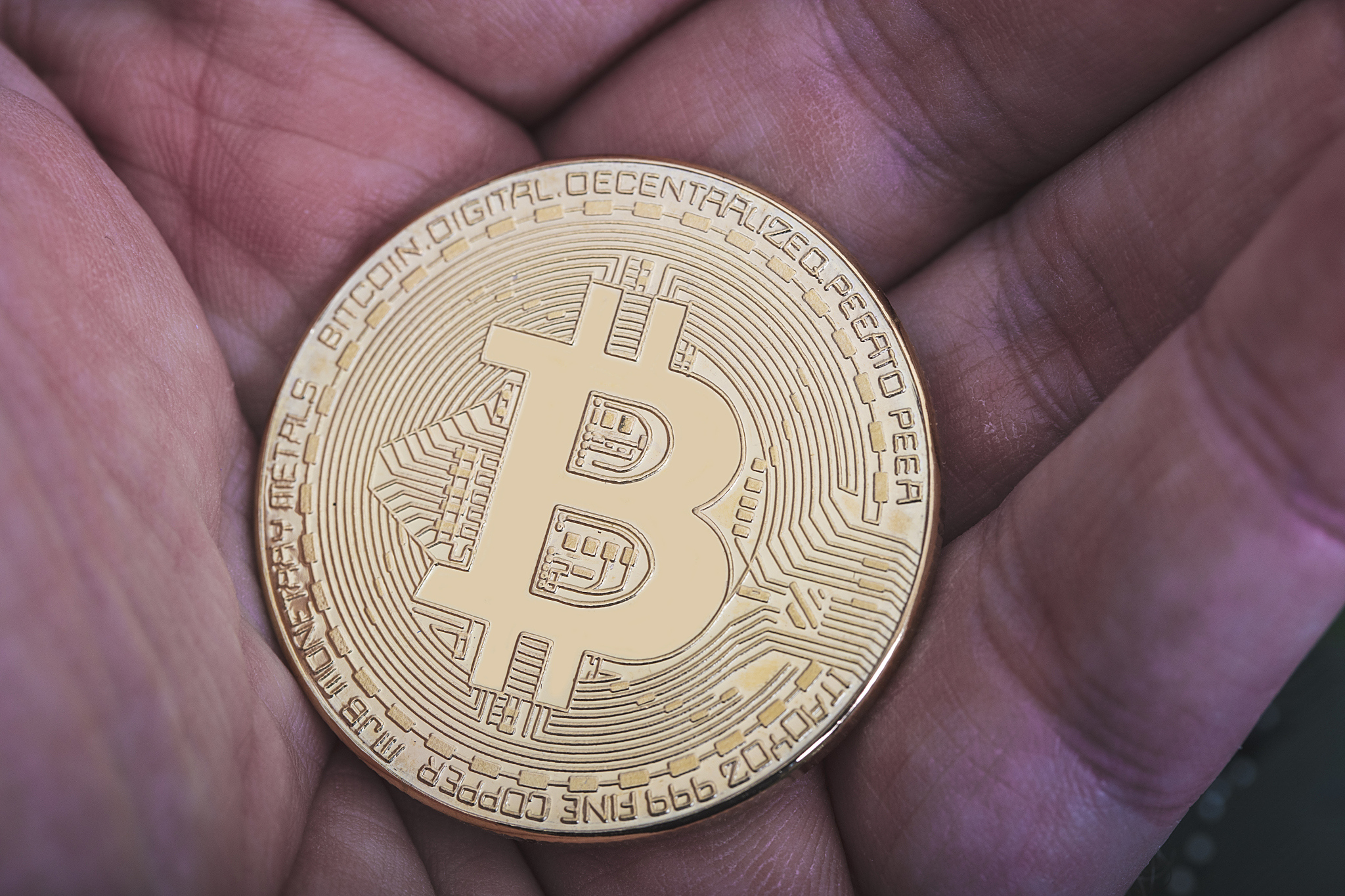 比特现金(比特现金官网)