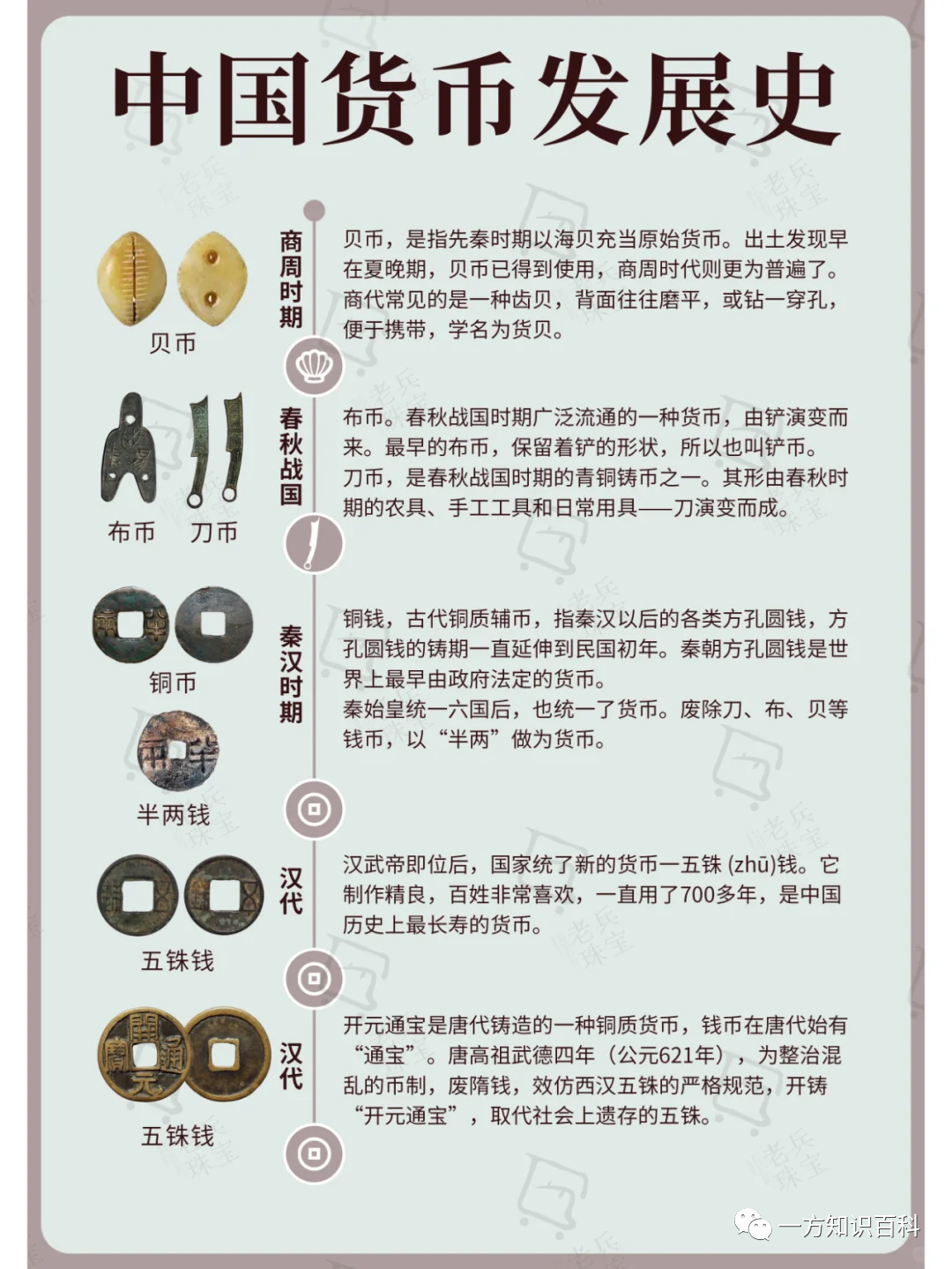 货币的发展(货币的发展史)