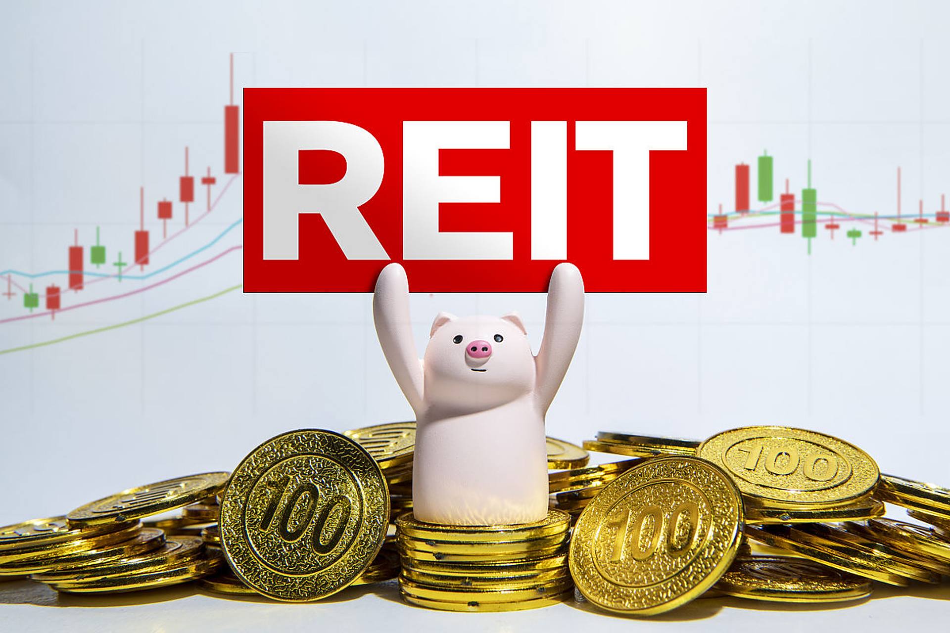 基金的英文(教育基金的英文)