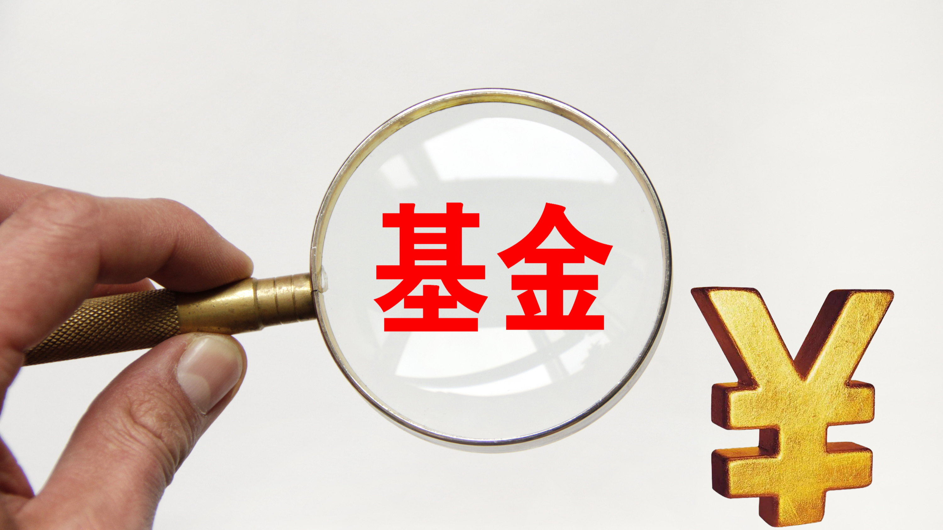 金信基金(金信基金是公募还是私募)