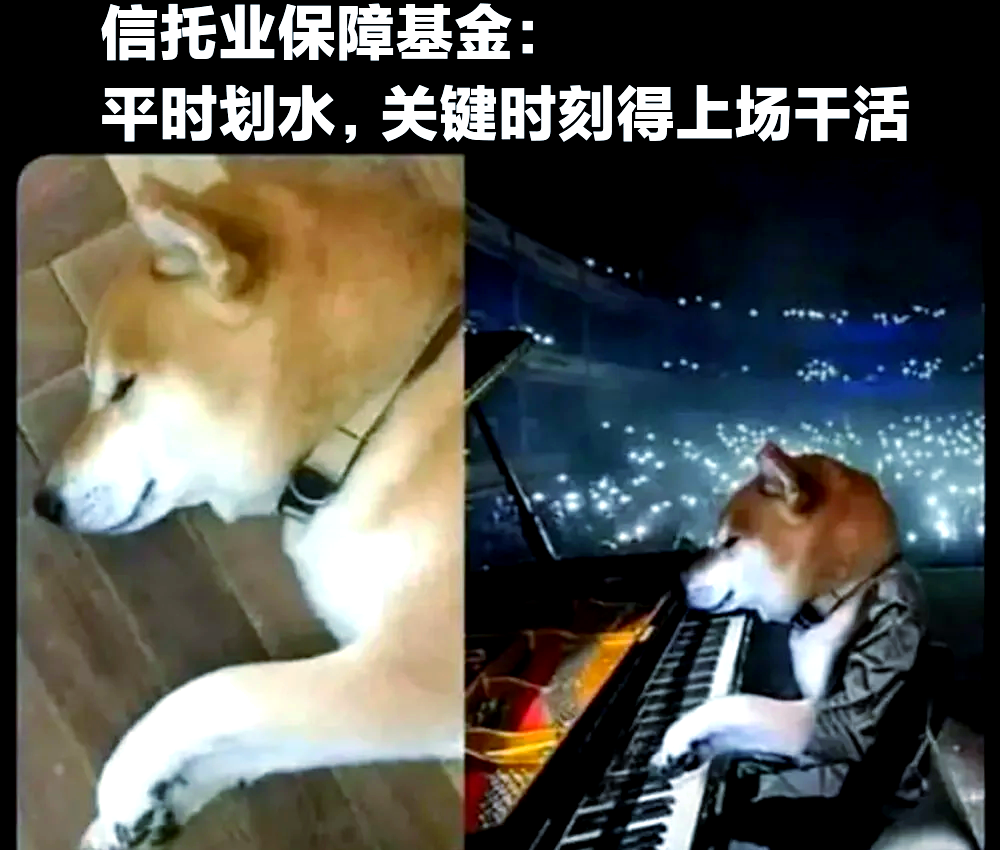 信托业保障基金(信托业保障基金是什么)