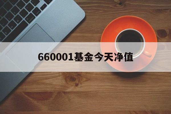 660001基金今天净值(005660基金今日净值估值)